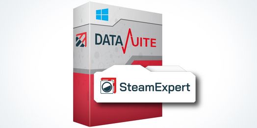 Maintenance DataSuite SteamExpert