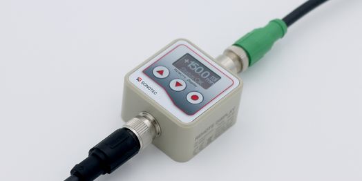 Remote Display RD.10 mit Kabeln