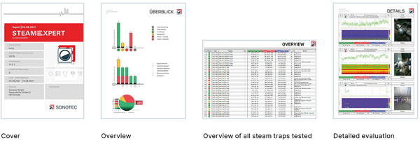 Vorbeugende Instandhaltung SteamExpert-Bericht
